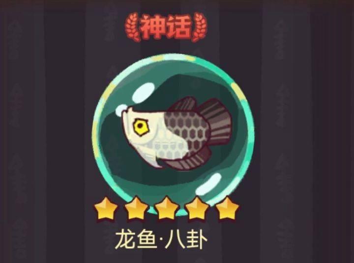 《咸鱼之王》龙鱼八卦攻略