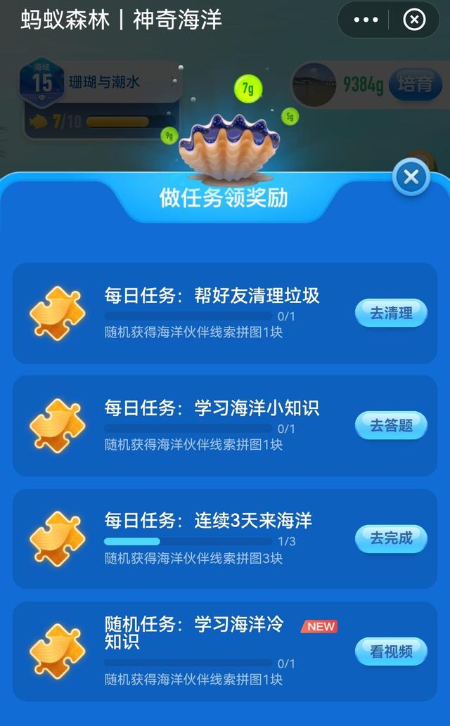 《支付宝》神奇海洋今日答案海獭问题