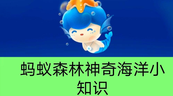 《支付宝》蚂蚁森林神奇海洋今日答案