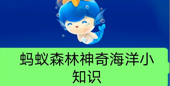 《支付宝》蚂蚁森林神奇海洋今日答案8.25