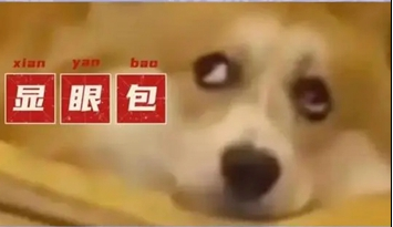 《抖音》显眼包这个梗怎么来的？