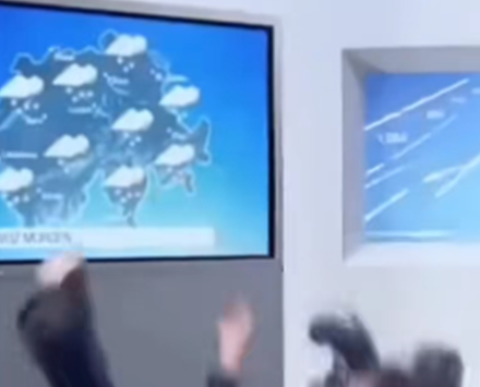 《抖音》海公牛是什么梗这个梗怎么来的？