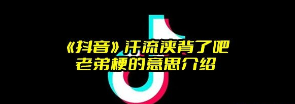 《抖音》汗流浃背了吧老弟梗的意思介绍