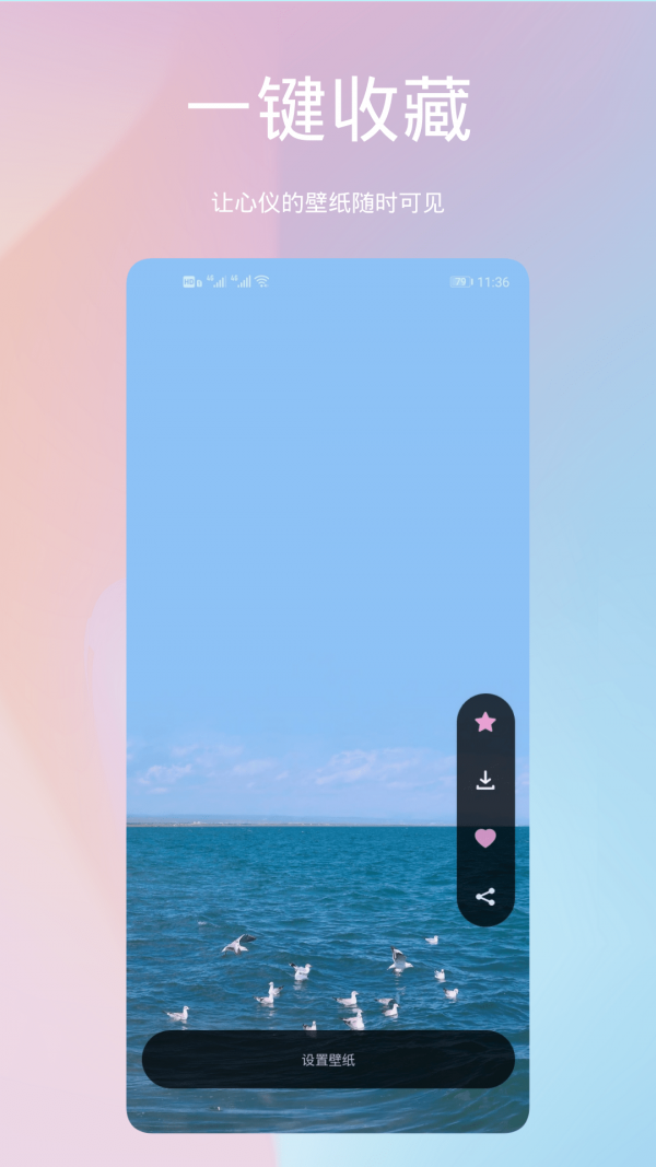 鹦鹉螺壁纸手机软件app截图