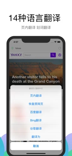 alook浏览器安卓版本手机软件app截图