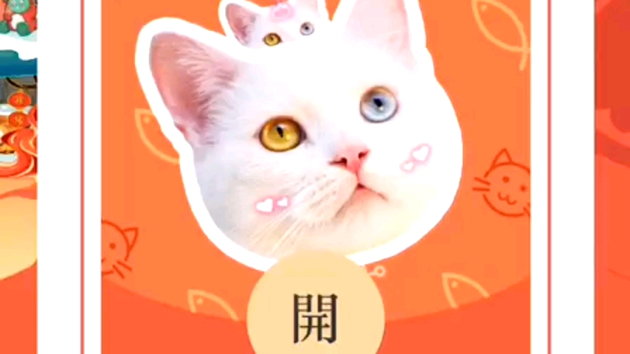 微信红包皮肤领取手机软件app截图