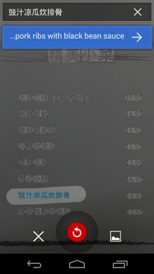 谷歌相机翻译app手机软件app截图