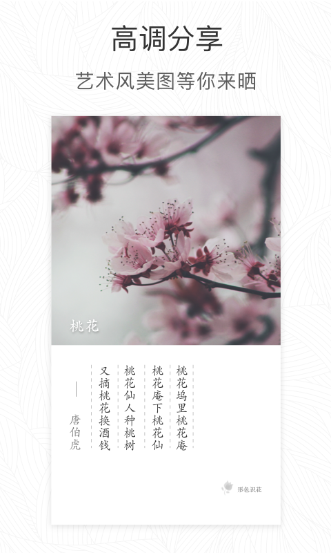 形色手机软件app截图