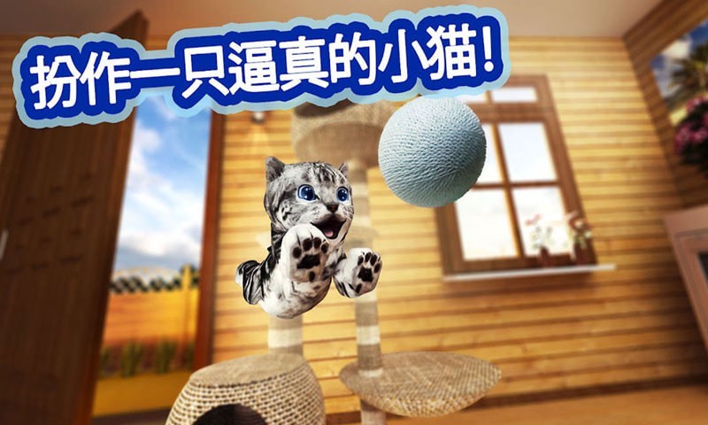 迷你小猫城市生存官方版手游app截图