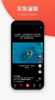 世子播播手机软件app截图
