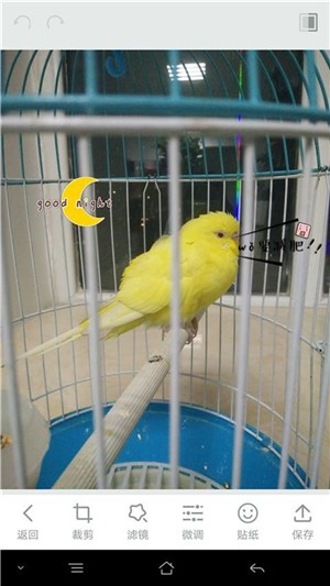 萌萌相机手机软件app截图