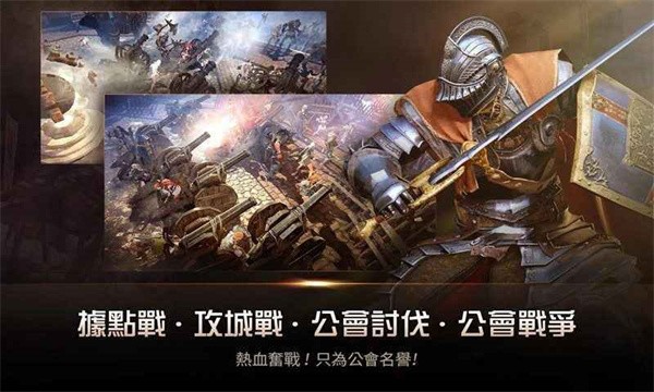 黑色沙漠国服手游手游app截图