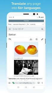 kiwi浏览器ios手机软件app截图