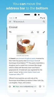 kiwi浏览器ios手机软件app截图