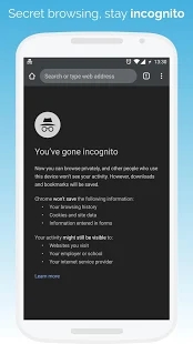 kiwi浏览器ios手机软件app截图