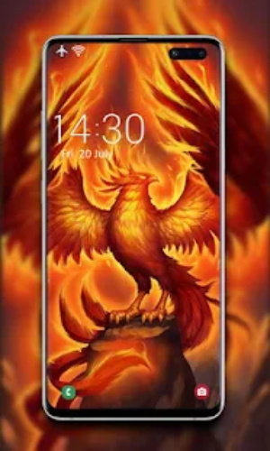 凤凰壁纸手机软件app截图