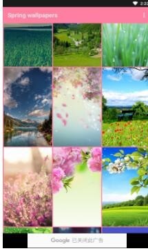 春季壁纸手机软件app截图
