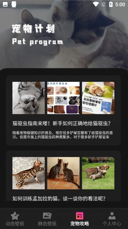 猫咪切换壁纸手机软件app截图