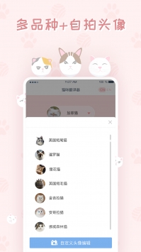 猫咪翻译器手机软件app截图