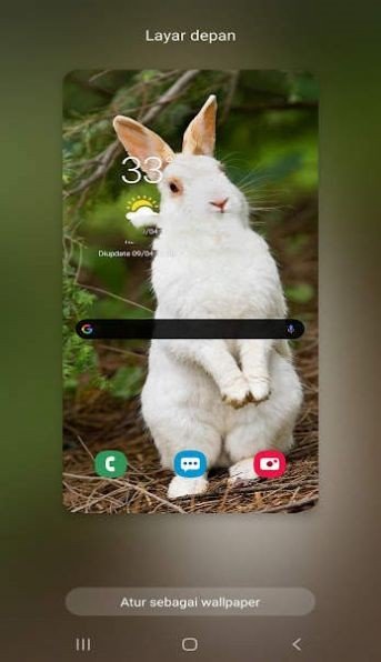 新兔子壁纸手机软件app截图