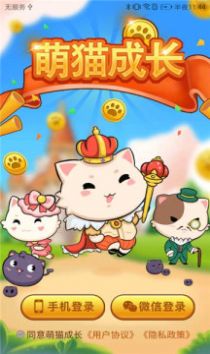 萌猫成长手游app截图