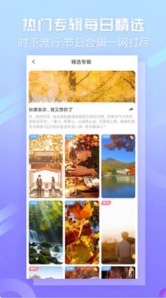 嘀嗒壁纸最新版手机软件app截图