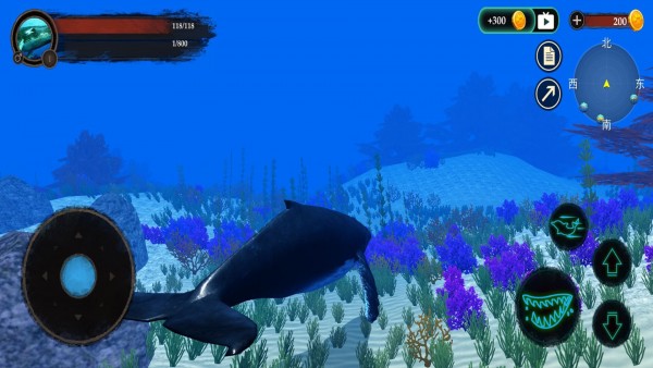 海洋动物世界手游app截图