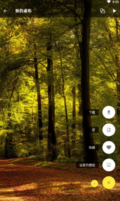 爱彩壁纸最新版手机软件app截图