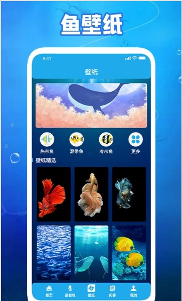 养鱼小高手最新版手机软件app截图