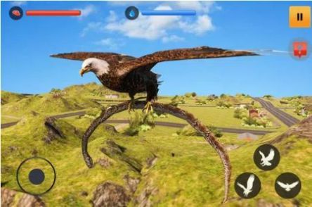 老鹰模拟游戏3D手游app截图