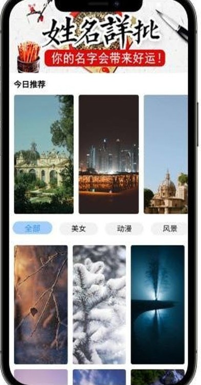枫叶壁纸手机软件app截图