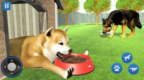 狗生活模拟器3D手游app截图