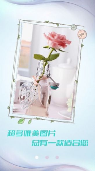 小猪壁纸大全手机软件app截图