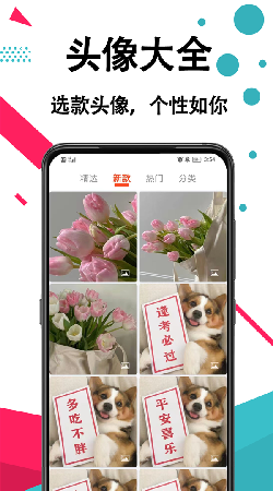 好看手机壁纸手机软件app截图