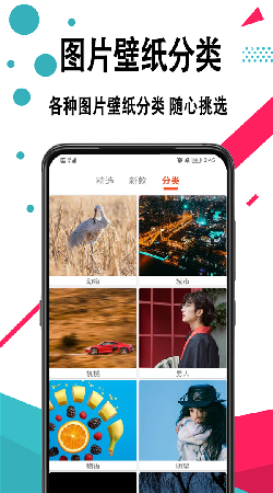 好看手机壁纸手机软件app截图