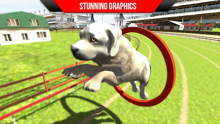 狗狗训练3D手游app截图