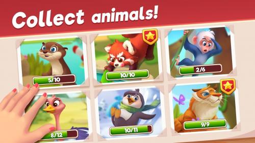 动物园比赛手游app截图