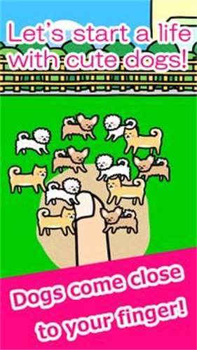 和狗一起玩手游app截图