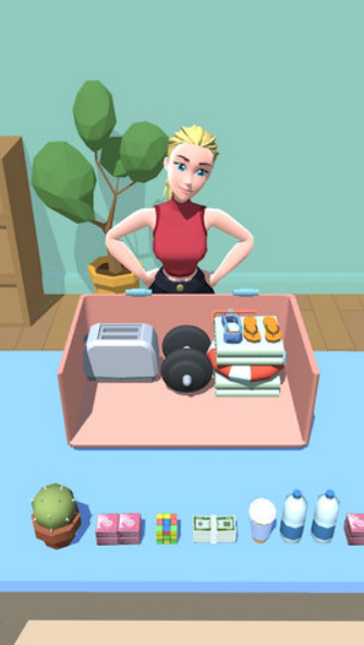 收纳达人3D手游app截图
