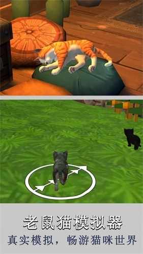 老鼠猫模拟器手游app截图