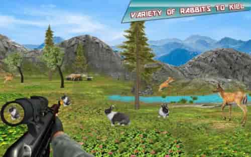 兔子狩猎模拟器手游app截图