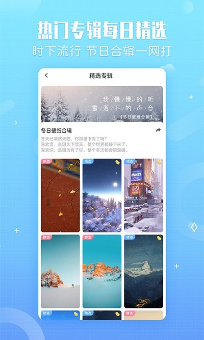 小鸟壁纸官网版下载手机软件app截图