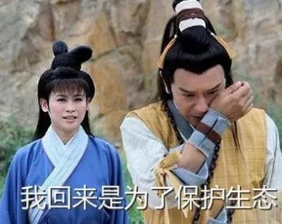 王宝钏挖野菜表情包手机软件app截图