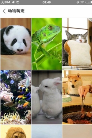旋风壁纸2022版下载手机软件app截图