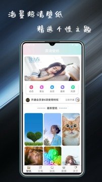 壁纸主题大全2024版下载手机软件app截图