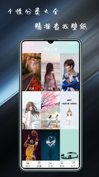壁纸主题大全手机软件app截图