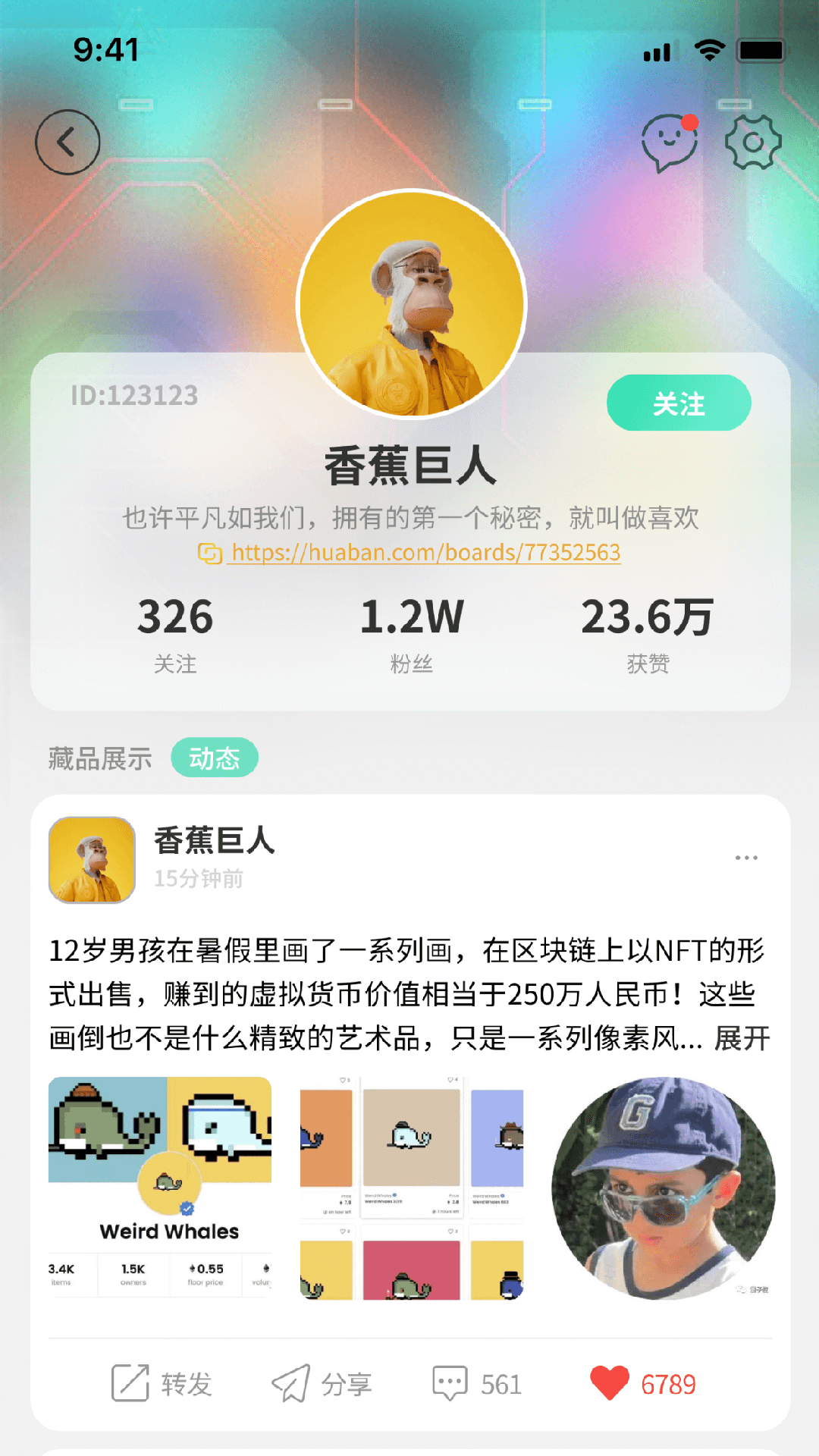 波荷手机软件app截图