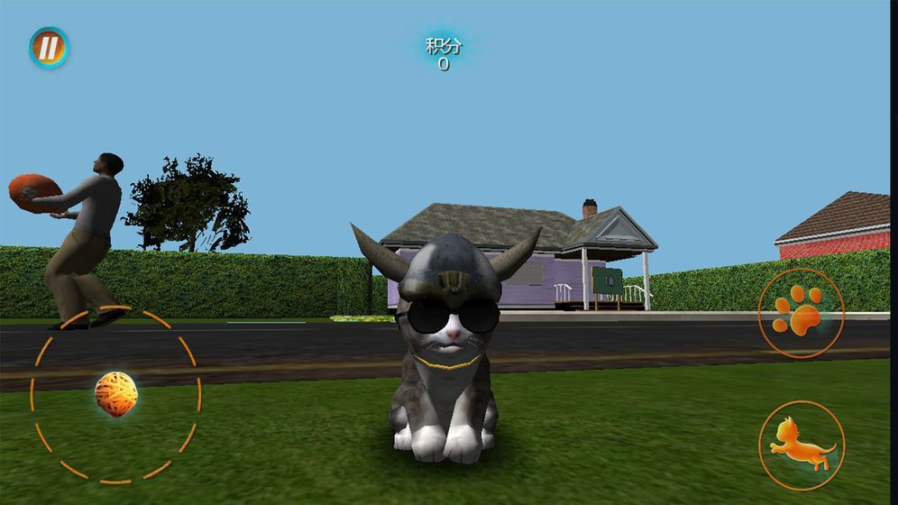 真实小猫3D模拟手游app截图