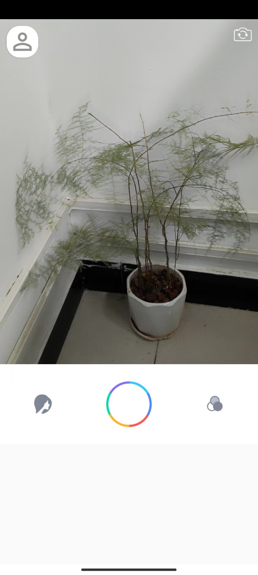 惊鸿相机手机软件app截图