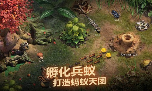 小小蚁国下载安装手游app截图